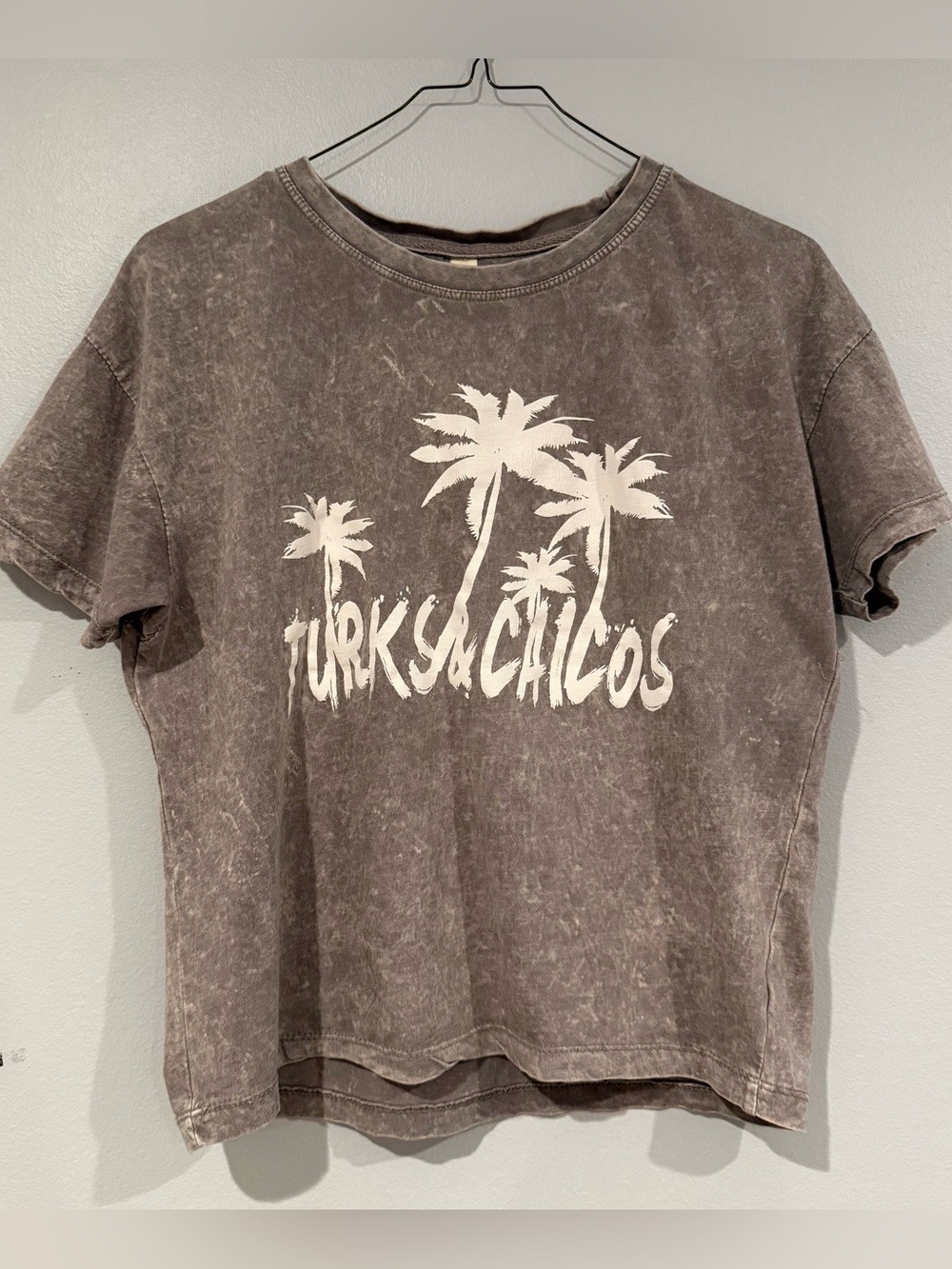 Turks & Caicos Palm Tree Weathered Crew Neck Tee in Taupe Heather